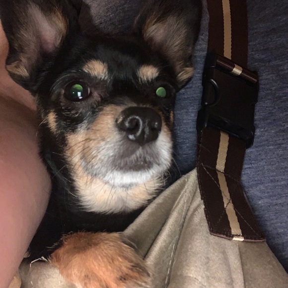 Meet your Posher, JamiDoll - Picture 2 of 3